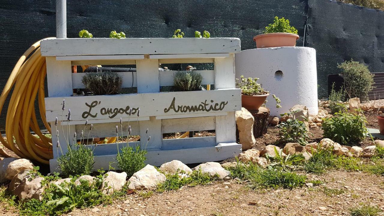 Guesthouse Pintadera Santa Maria la Palma Exteriér fotografie